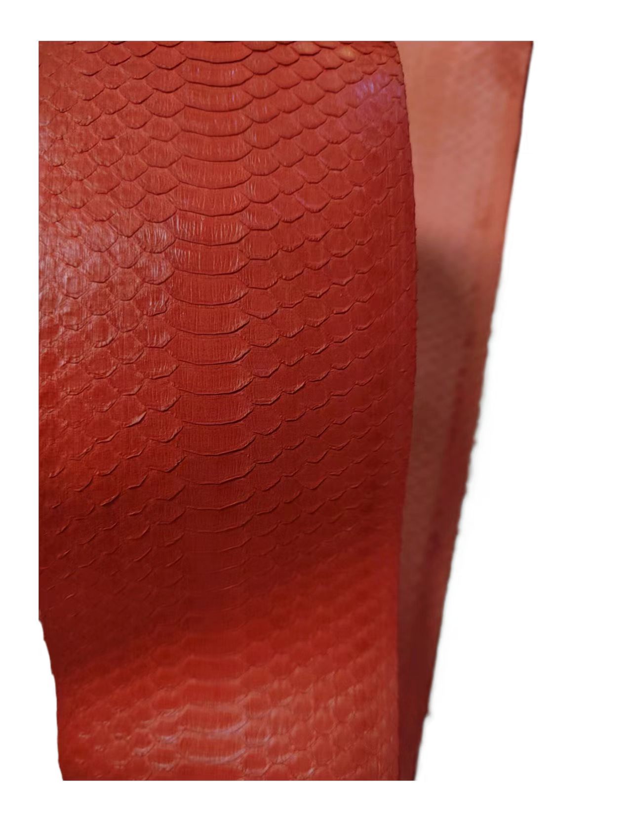Luxury Bags And Shoes - SP007 Materiale di lusso in vera
